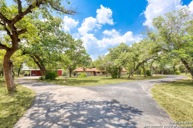 20 ACRES Guadalupe Ranch Lane, Seguin, Texas image 3