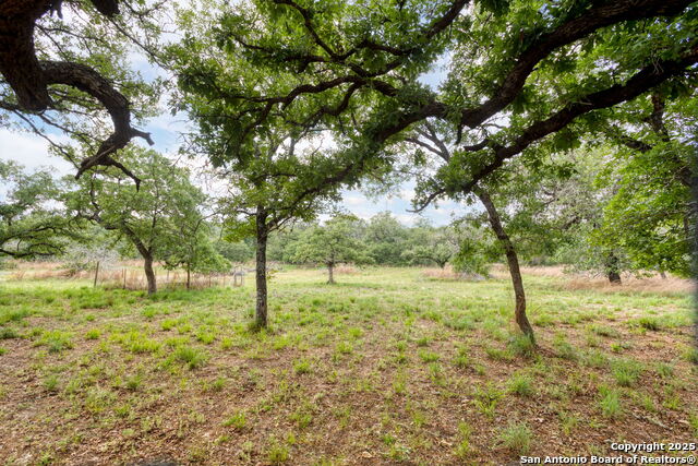 20 ACRES Guadalupe Ranch Lane, Seguin, Texas image 38
