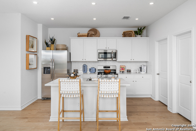 1554 Estelea Grove, New Braunfels, Texas image 2