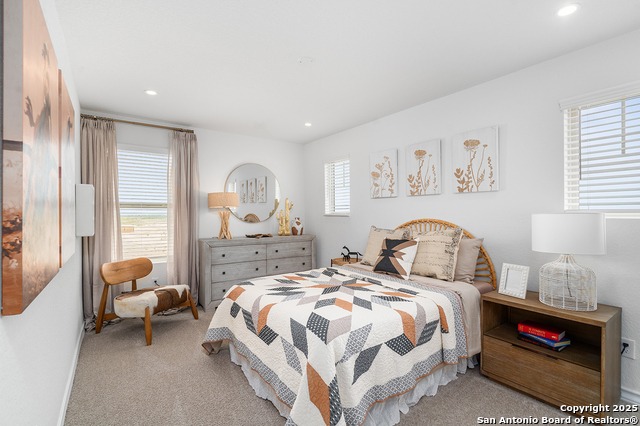1554 Estelea Grove, New Braunfels, Texas image 22