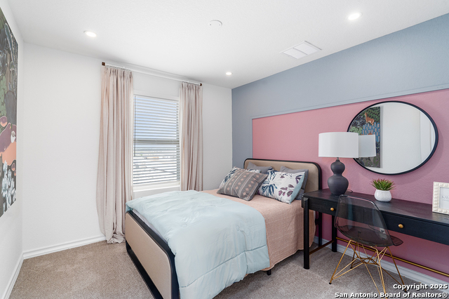 1554 Estelea Grove, New Braunfels, Texas image 23