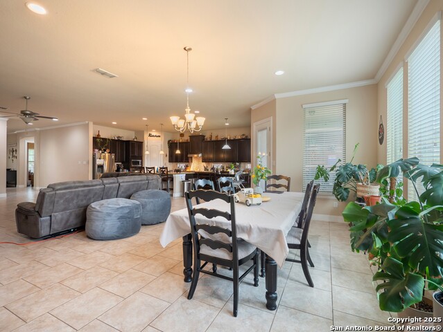 813 Sussex Cove, Cibolo, Texas image 10