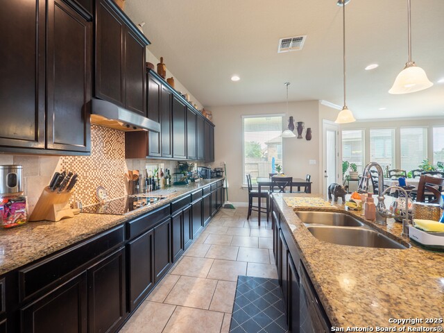 813 Sussex Cove, Cibolo, Texas image 13