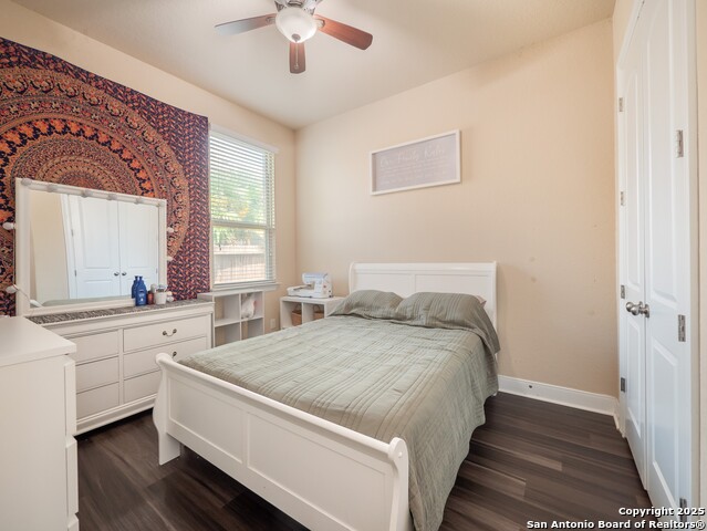 813 Sussex Cove, Cibolo, Texas image 21