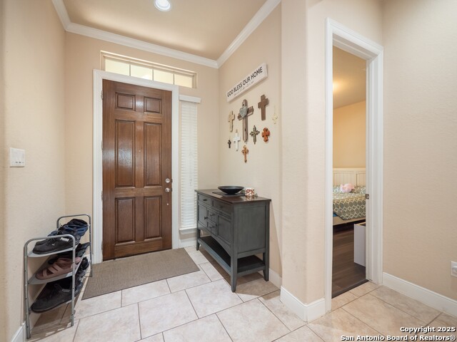 813 Sussex Cove, Cibolo, Texas image 3