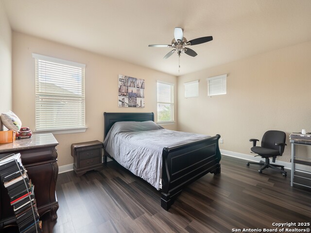 813 Sussex Cove, Cibolo, Texas image 31