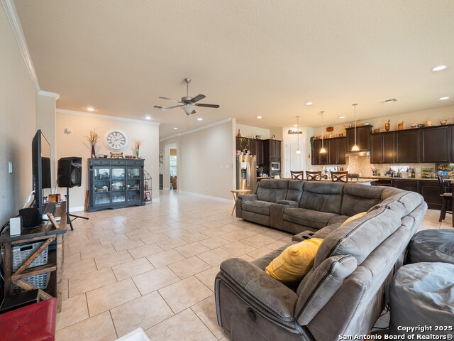 813 Sussex Cove, Cibolo, Texas image 8