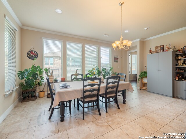 813 Sussex Cove, Cibolo, Texas image 9