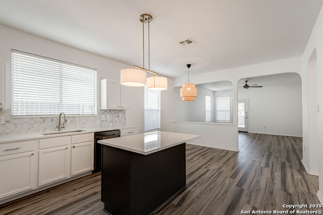 7519 Paraiso Haven, Boerne, Texas image 10