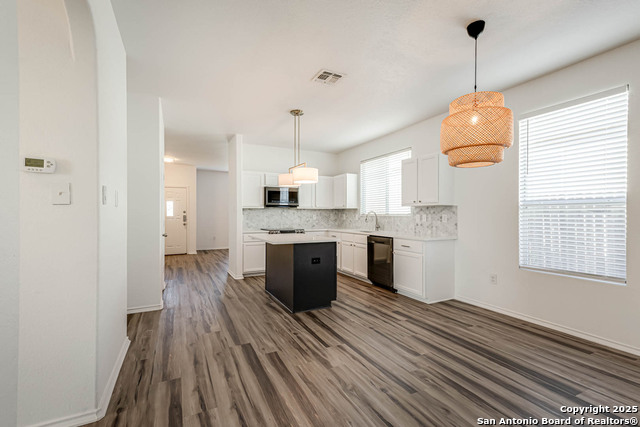 7519 Paraiso Haven, Boerne, Texas image 5