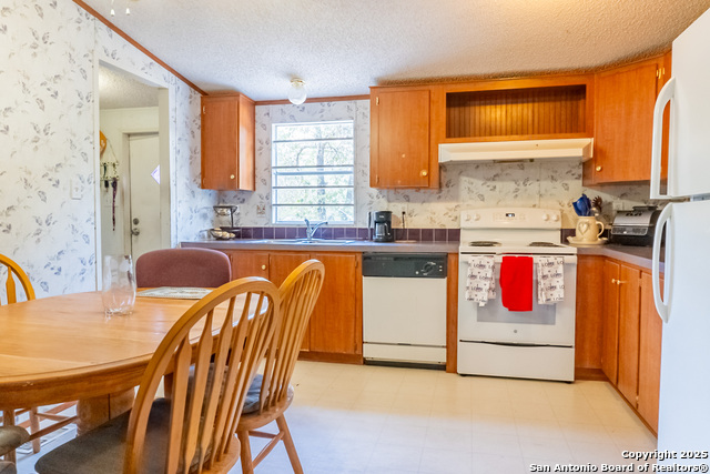 155 Brianna, Von Ormy, Texas image 13
