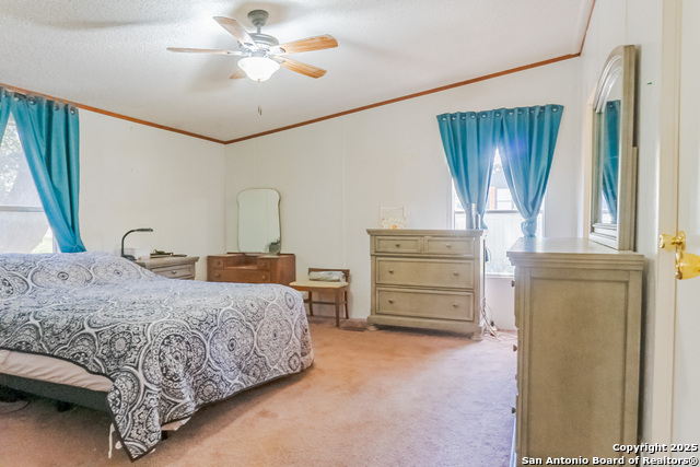 155 Brianna, Von Ormy, Texas image 16