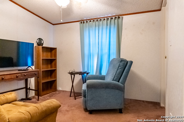 155 Brianna, Von Ormy, Texas image 19