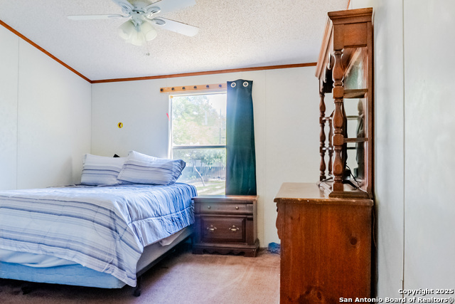 155 Brianna, Von Ormy, Texas image 21