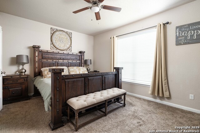 10238 Midsummer Meadow, Converse, Texas image 13
