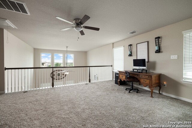 10238 Midsummer Meadow, Converse, Texas image 20