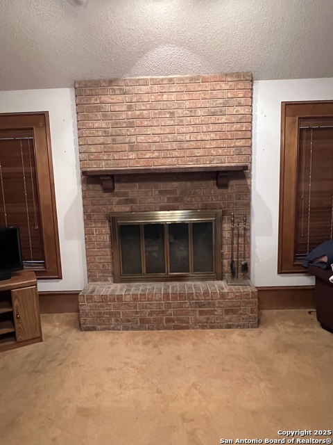 157 Guadalupe River Dr, Seguin, Texas image 4