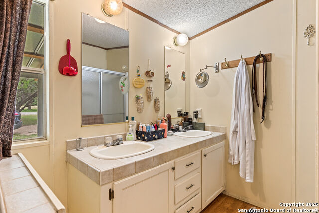 193 Mills Lane, Pipe Creek, Texas image 15