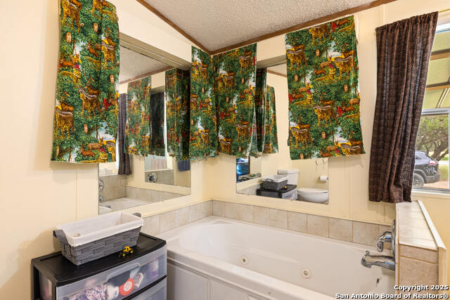 193 Mills Lane, Pipe Creek, Texas image 16
