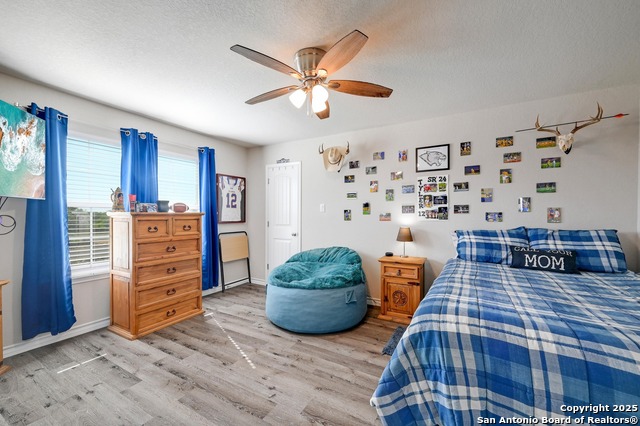132 Frank Jones, Blanco, Texas image 12