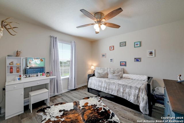 132 Frank Jones, Blanco, Texas image 14
