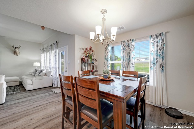 132 Frank Jones, Blanco, Texas image 9