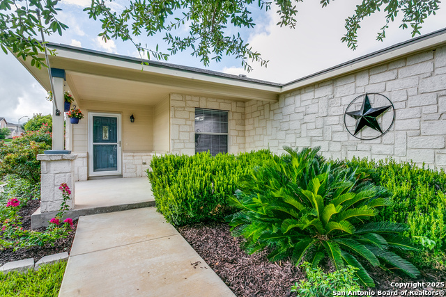 357 Willow View, Cibolo, Texas image 4