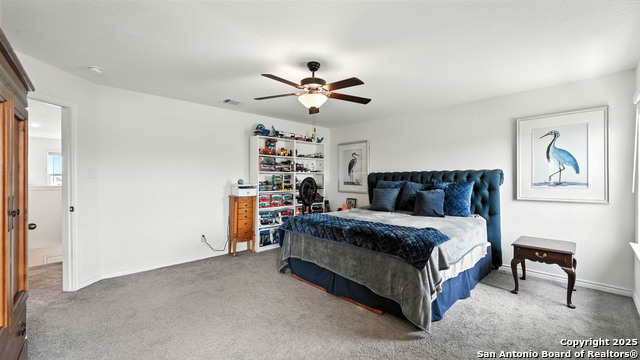 354 Deer Crest, New Braunfels, Texas image 21