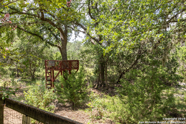 31362 Rexon, Fair Oaks Ranch, Texas image 36