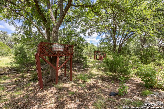31362 Rexon, Fair Oaks Ranch, Texas image 38
