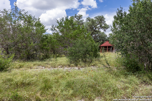 31362 Rexon, Fair Oaks Ranch, Texas image 41