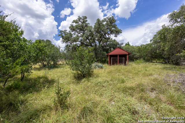 31362 Rexon, Fair Oaks Ranch, Texas image 42