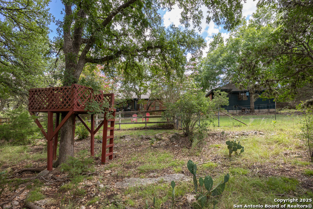 31362 Rexon, Fair Oaks Ranch, Texas image 44