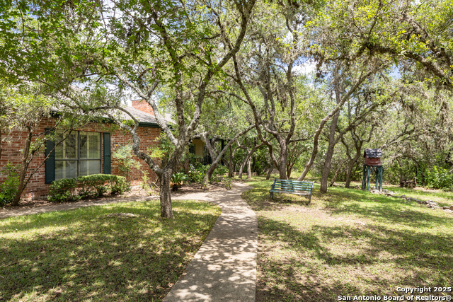 31362 Rexon, Fair Oaks Ranch, Texas image 47
