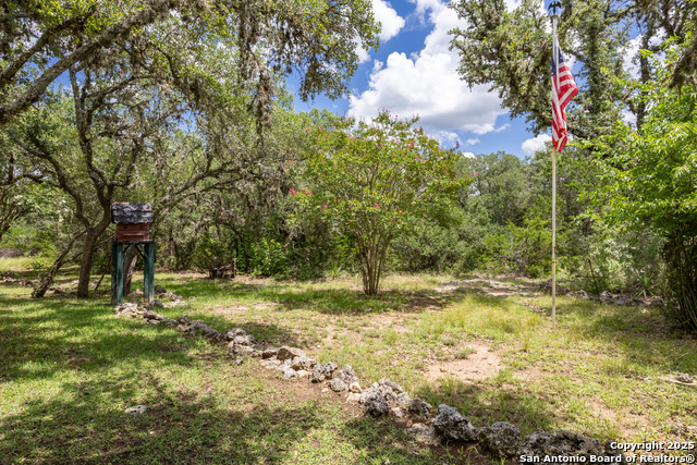 31362 Rexon, Fair Oaks Ranch, Texas image 48