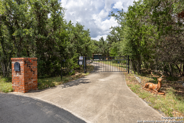 31362 Rexon, Fair Oaks Ranch, Texas image 50