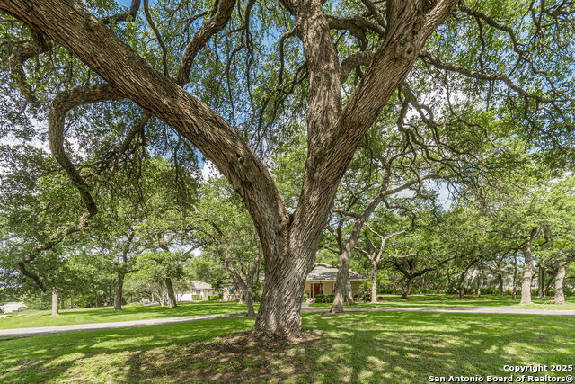 4104 Oak, San Marcos, Texas image 39
