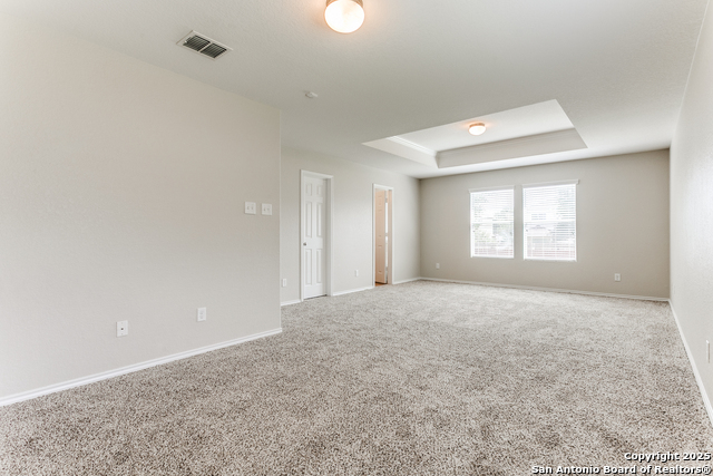 16210 Rosebud Vista, Selma, Texas image 14