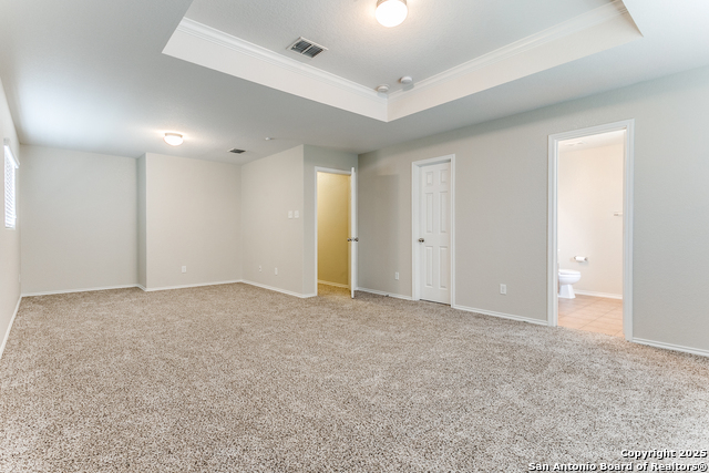 16210 Rosebud Vista, Selma, Texas image 15