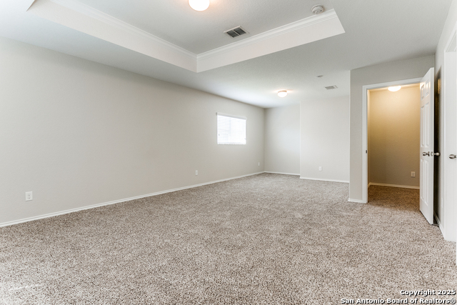 16210 Rosebud Vista, Selma, Texas image 16