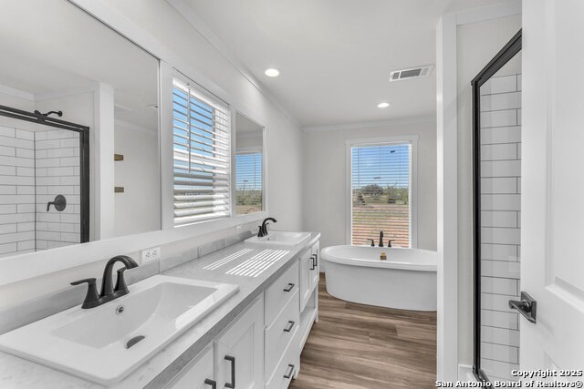 132 Syrah St, La Vernia, Texas image 11