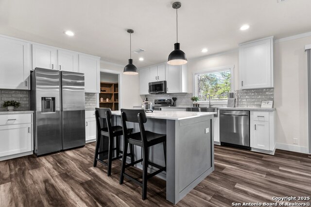 148 Syrah St, La Vernia, Texas image 2