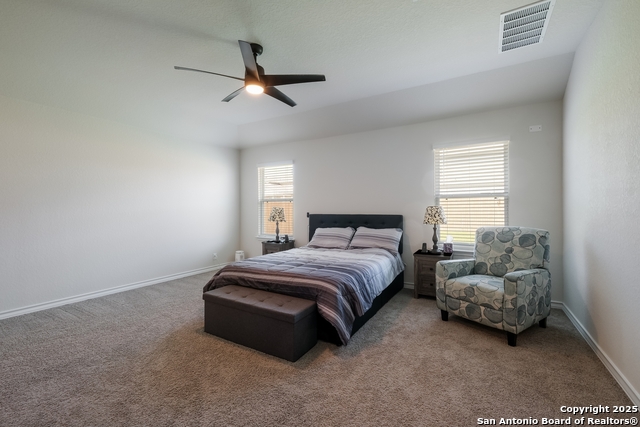 626 Diamond Shoals, Cibolo, Texas image 12