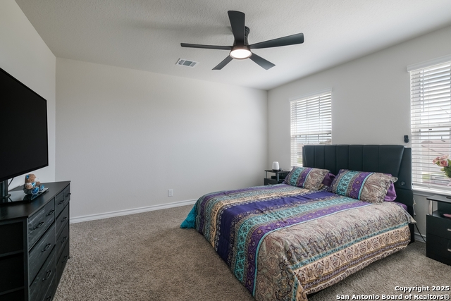 626 Diamond Shoals, Cibolo, Texas image 19