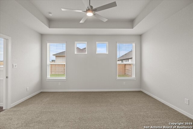 533 Canyon Live Oak, Seguin, Texas image 12