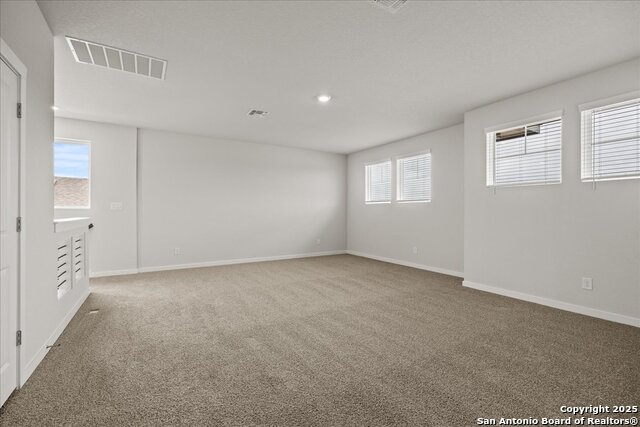533 Canyon Live Oak, Seguin, Texas image 15