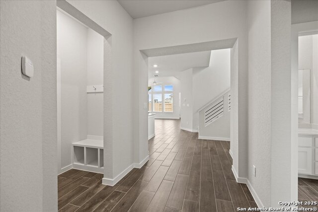 533 Canyon Live Oak, Seguin, Texas image 3