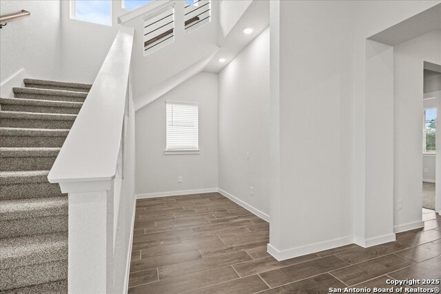 533 Canyon Live Oak, Seguin, Texas image 4