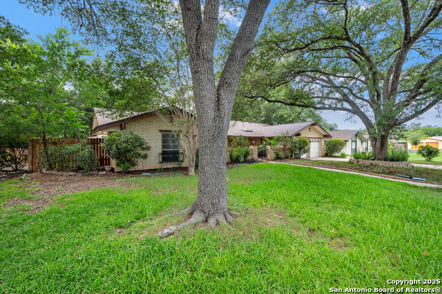 5645 Parkcrest, Windcrest, Texas image 4