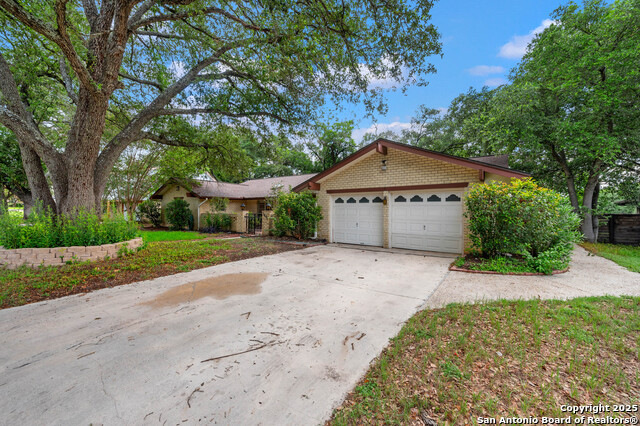 5645 Parkcrest, Windcrest, Texas image 6